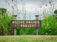 Native Prairie Project