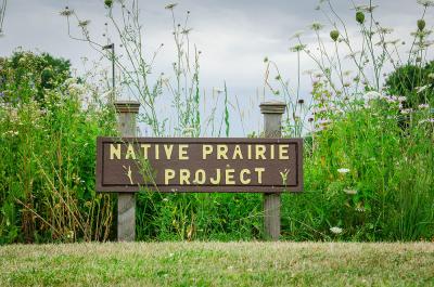 Native Prairie Project