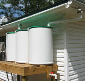 New Rain Barrels